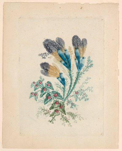 Motivo de flores fantástico de "New Suite of Ideal Flower Notebooks" de Jean Baptiste Pillement