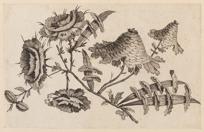 Ramo de Flores, da "Coleção de Flores Chinesas" de Jean Baptiste Pillement