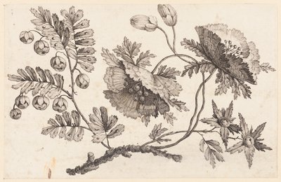 Ramo de Flores, da "Coleção de Flores Chinesas" de Jean Baptiste Pillement