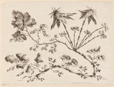 Ramos de flores, de "Coleção de diferentes flores de fantasia no gosto chinês" de Jean Baptiste Pillement