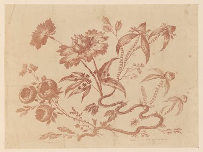 Ramos de flores, de "Coleção de diferentes flores de fantasia no gosto chinês" de Jean Baptiste Pillement