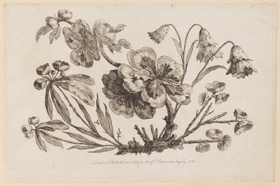 Ramos de Flores, de "Recueil de Fleurs de Chinois" de Jean Baptiste Pillement