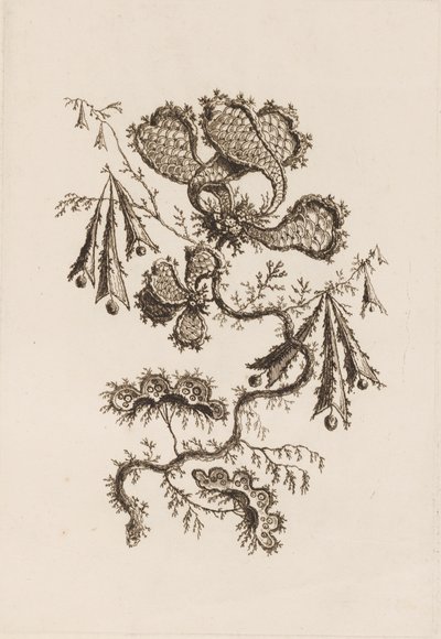 Ramo de Flor, de "Fleurs Persanes" de Jean Baptiste Pillement