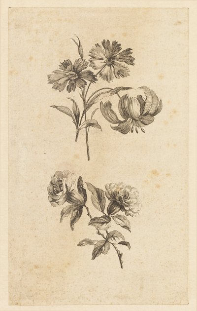 Dois ramos de flores de Jean Baptiste Pillement