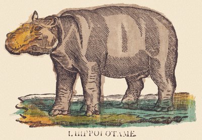 O hipopótamo, c.1840-1852 (litografia) de Jean Baptiste Thiebault