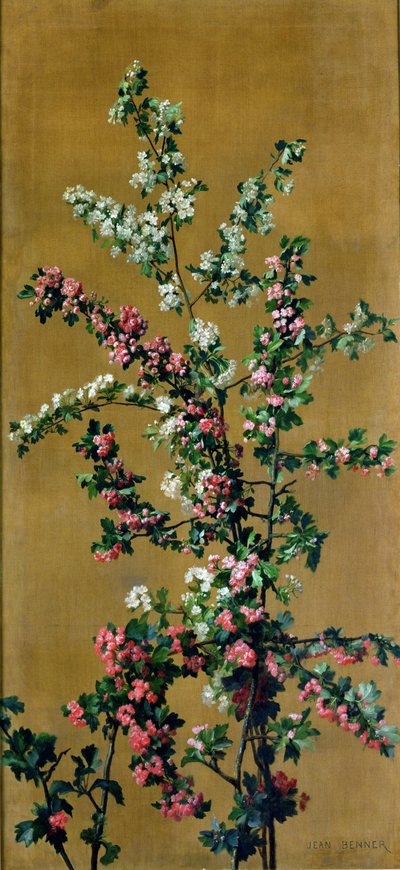 Ramos japoneses da árvore de cereja e do Hawthorn (re 215287 para o par) de Jean Benner