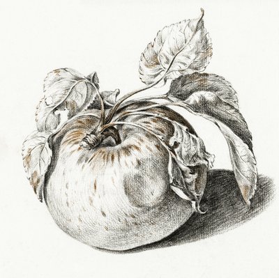 Apple de Jean Bernard