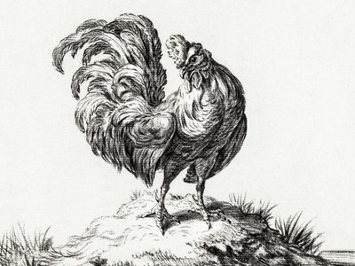 Frango, em pé numa colina de Jean Bernard
