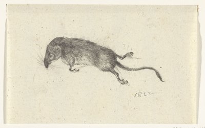 rato morto de Jean Bernard