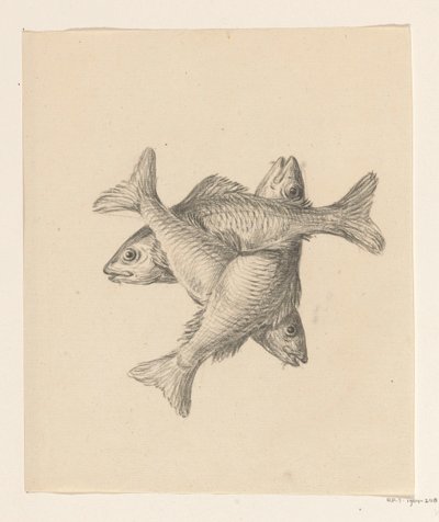 Três peixes dispostos transversalmente de Jean Bernard