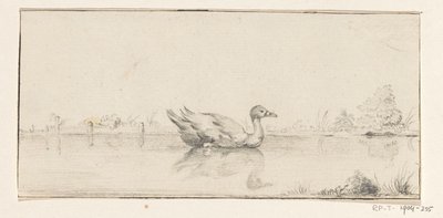 Pato na água de Jean Bernard