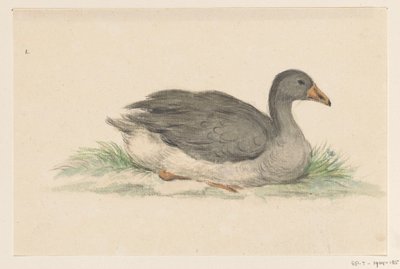Pato, para a direita de Jean Bernard