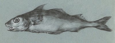 Fish Green (1775–1833) de Jean Bernard