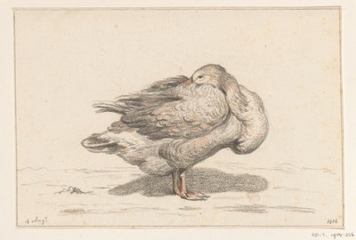 Gans de Jean Bernard