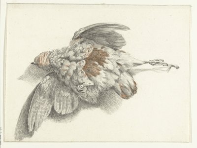 Aves, penduradas na parede de Jean Bernard