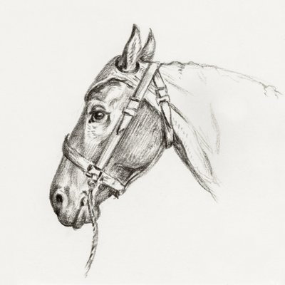 Cabeça de cavalo (1818) de Jean Bernard