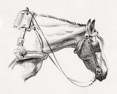Cabeça de cavalo (1820) de Jean Bernard