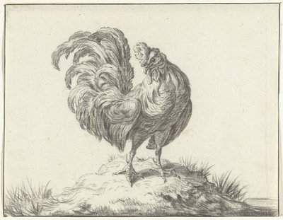 Galinha, de pé em cima de um tramo de Jean Bernard