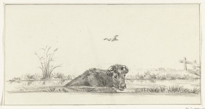 A vaca na água de Jean Bernard