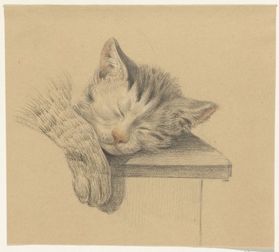 Cabeça e pata de um gato adormecido de Jean Bernard