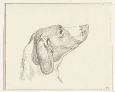 Cabeça de um cão, à direita de Jean Bernard