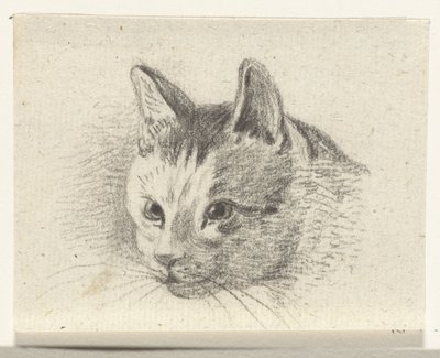 Cabeça de um gato de Jean Bernard