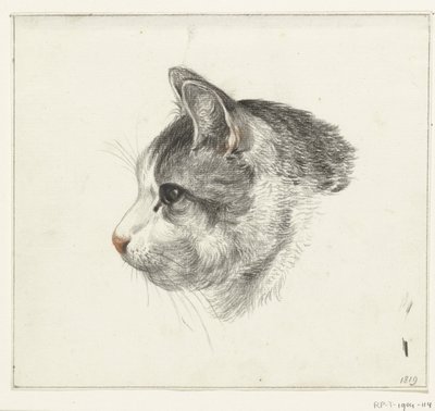 Cabeça de um gato, à esquerda de Jean Bernard