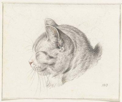 Cabeça de um gato, à esquerda de Jean Bernard