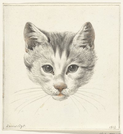 Cabeça de um gato, vista de frente à luz das velas de Jean Bernard