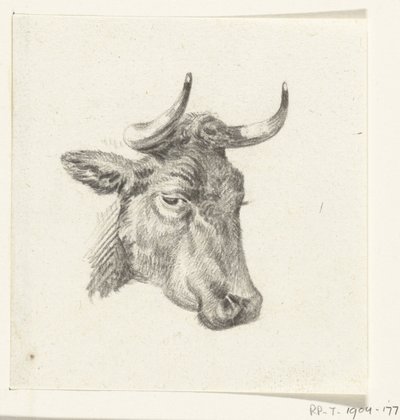 Cabeça de uma vaca de Jean Bernard