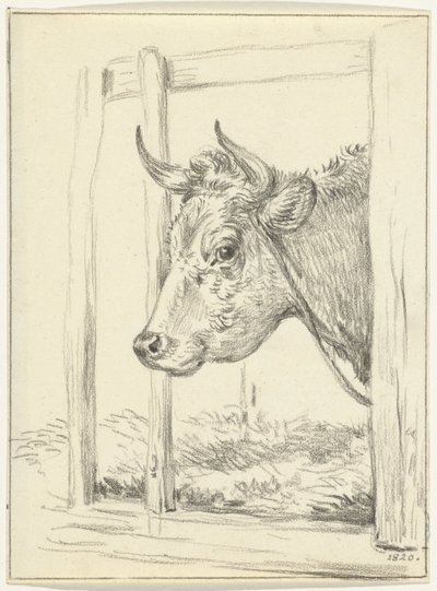 Cabeça de vaca, em um estábulo, à esquerda de Jean Bernard