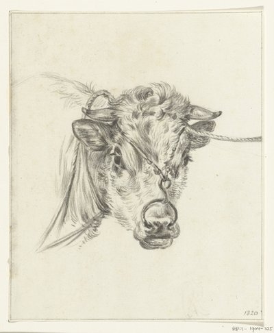 Cabeça de vaca, com um anel no nariz de Jean Bernard