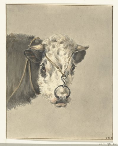 Cabeça de vaca, com um anel no nariz, de frente de Jean Bernard