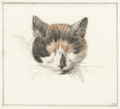 Cabeça de um gato de colo, de frente, com os olhos fechados de Jean Bernard