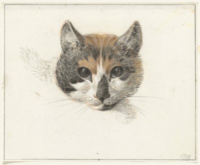 Cabeça de um gato malhado, de frente, com os olhos abertos de Jean Bernard