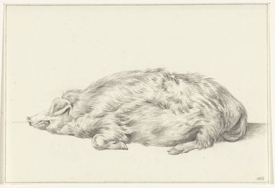 Porco deitado, à esquerda de Jean Bernard