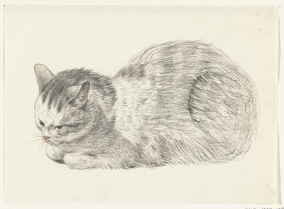 Gato deitado, à esquerda de Jean Bernard