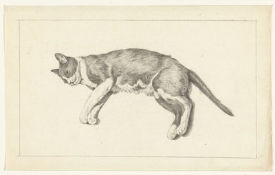 Gato deitado, à esquerda, visto de cima de Jean Bernard