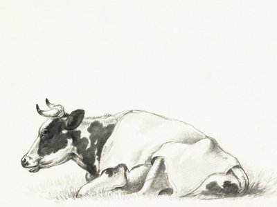 «Vaca Deitada», de Jean Bernard de Jean Bernard