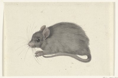 Rato, à esquerda de Jean Bernard