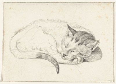 Gato adormecido enrolado de Jean Bernard