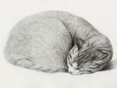 Gato enrolado, deitado a dormir, de Jean Bernard (1775-1883) de Jean Bernard