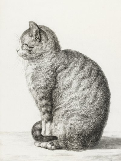 Gato Sentado (1815) de Jean Bernard