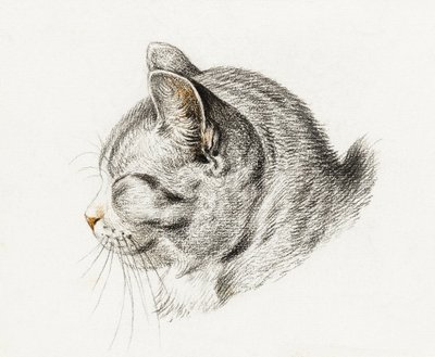 Esboço de um gato (1813) de Jean Bernard