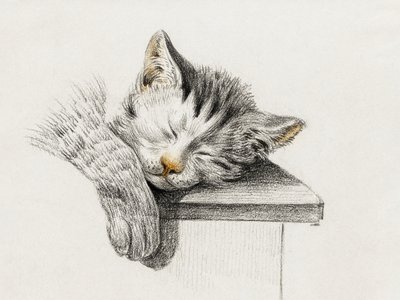 Esboço de um gato a dormir de Jean Bernard