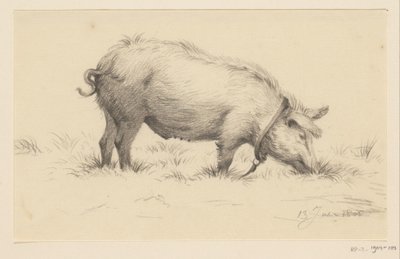 Porco de rega de pé, à direita, na relva de Jean Bernard