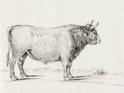 Standing Bull de Jean Bernard