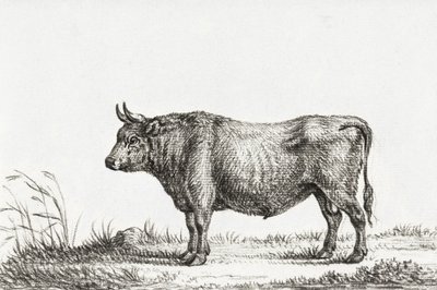 Standing Bull de Jean Bernard