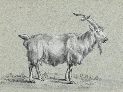 Cabra em pé, de Jean Bernard de Jean Bernard