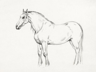 Cavalo em pé (1818) de Jean Bernard